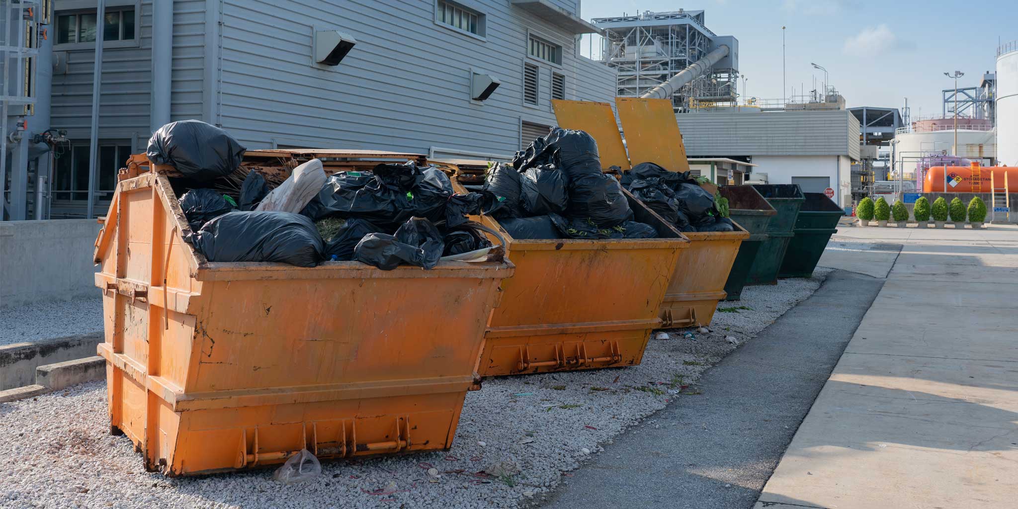 The Guide to Choosing the Right Skip